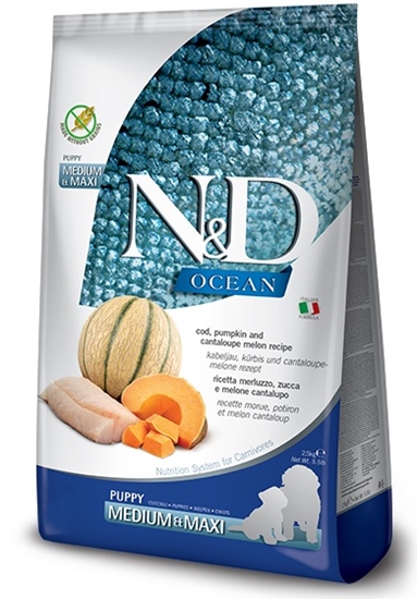 Picture of N&D Ocean Dog Puppy Medium & Maxi Cod, Pumpkin & Cantaloupe